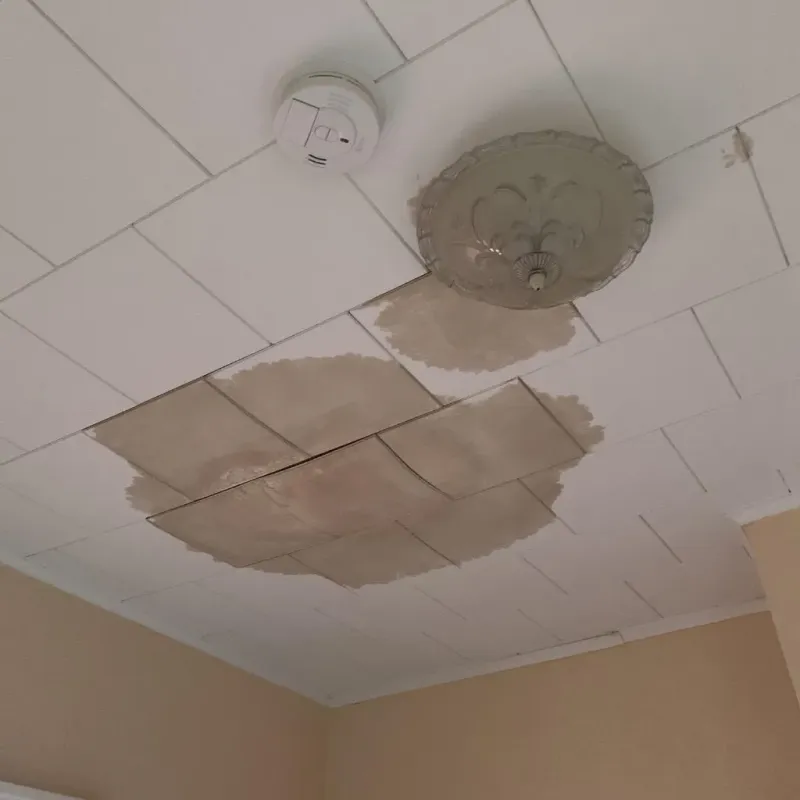 Ceiling Water Damage Repair in Honey Grove, TX