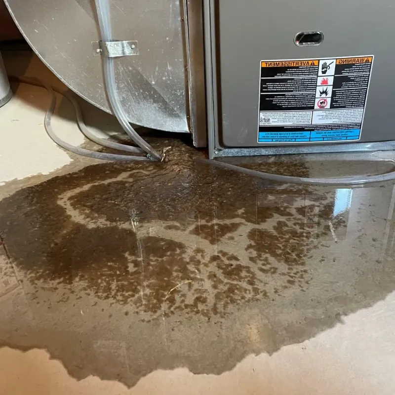Pipe Burst and Leak Restoration in Honey Grove, TX