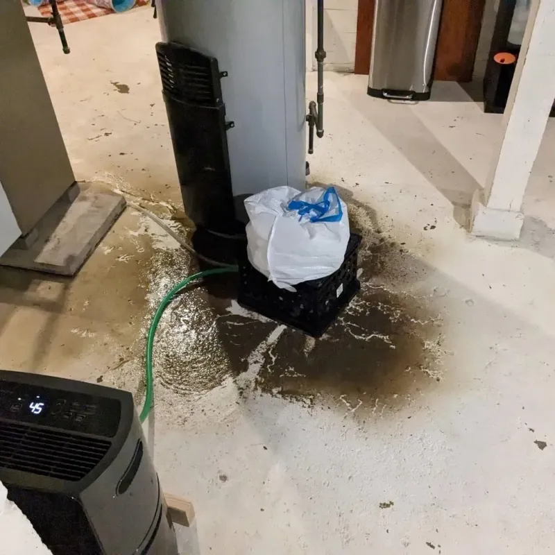 Sewage Backup Cleanup Service in Honey Grove, TX